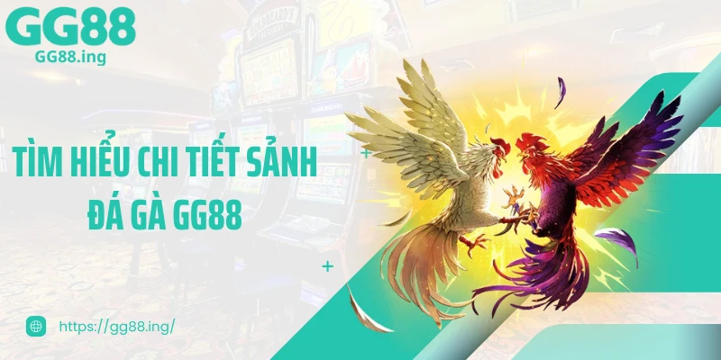 Tìm hiểu chi tiết sảnh đá gà GG88